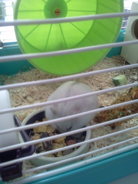 IMG20101115_009.jpg