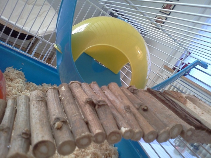 IMG20101116_002.jpg