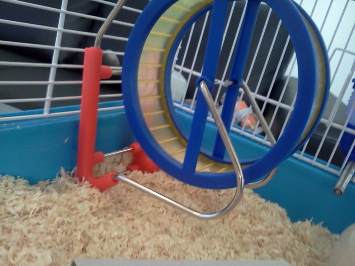 IMG20101116_004.jpg
