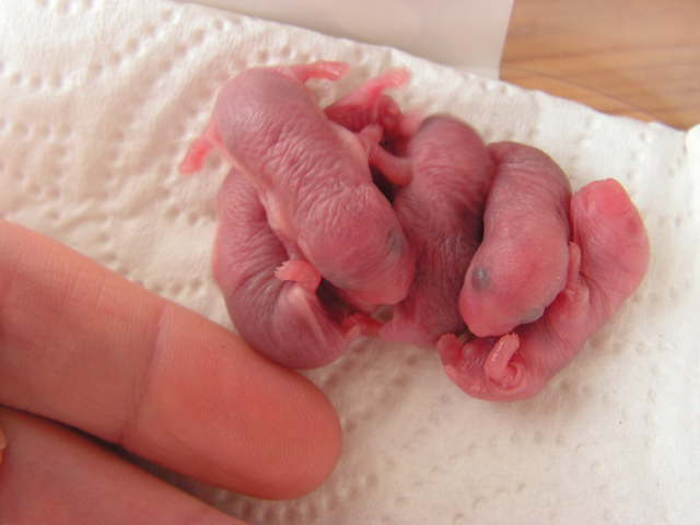 PICT0004.JPG