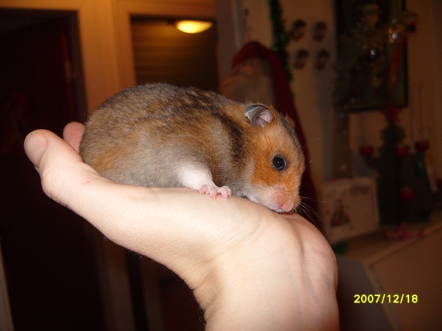 28-12-07 097.jpg