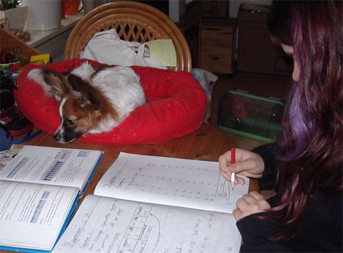 Kovu laver lektier.jpg