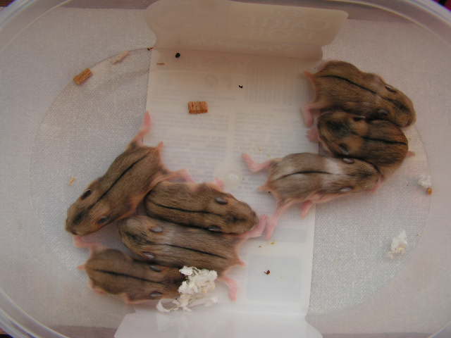 PICT0103.JPG