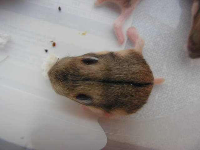 PICT0107.JPG