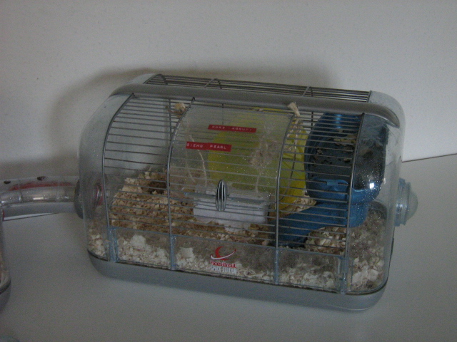 Rose og GiZmo's bur d.19-04-06(1).JPG