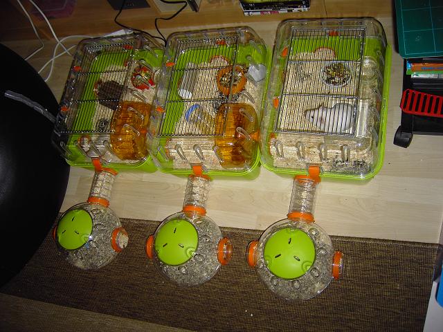 PICT0299 2.jpg