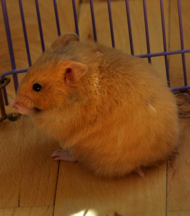 rsz_dsc_0010.jpg