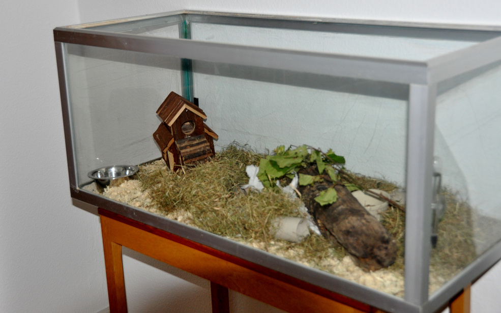 rsz_dsc_0022.jpg