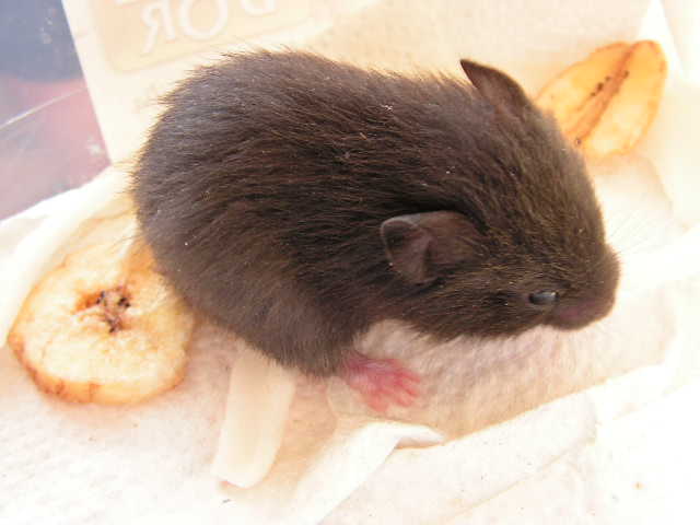 PICT0038.JPG