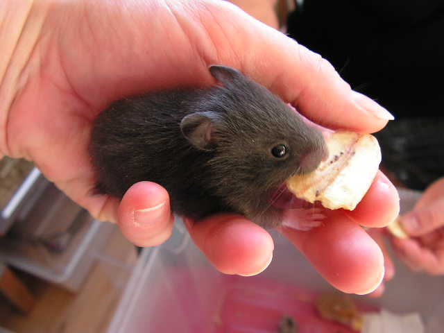 PICT0041.JPG