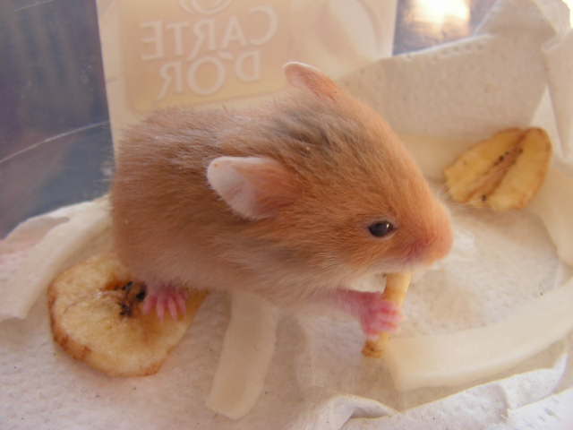 PICT0030.JPG