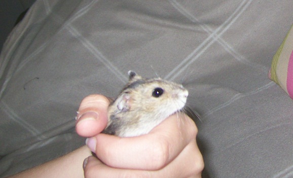 000_0023.JPG