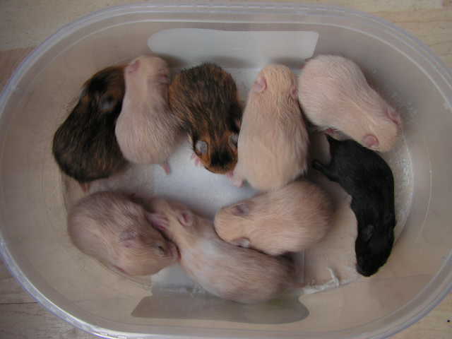 PICT0046.JPG