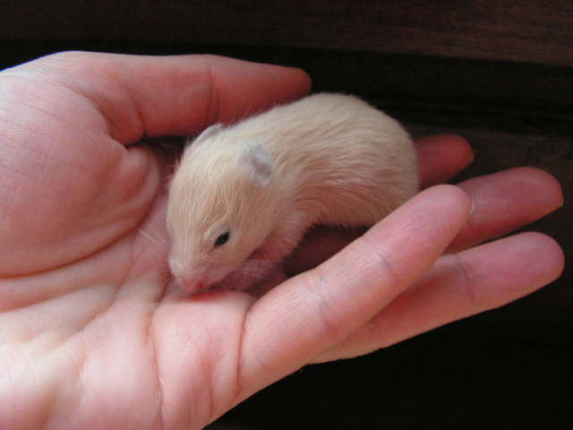 PICT0066.JPG