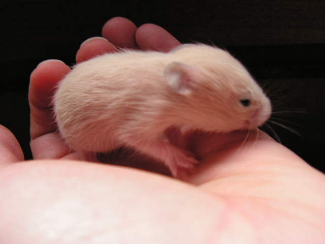 PICT0067.JPG