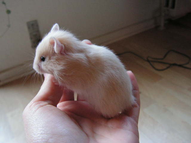 PICT0046.JPG