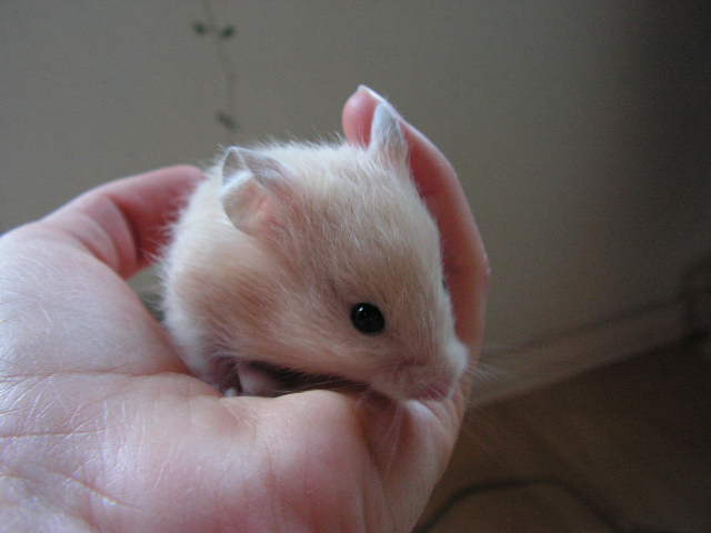 PICT0017.JPG