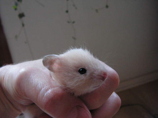 PICT0021.JPG
