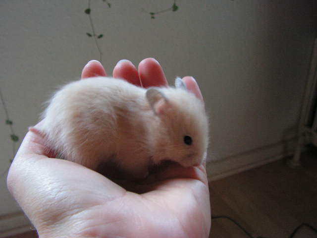 PICT0023.JPG