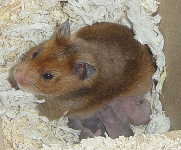 DSC09546-2 5 dage .jpg