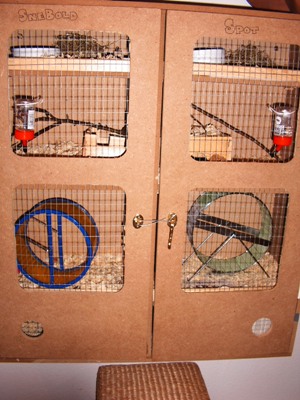 PICT0007.JPG