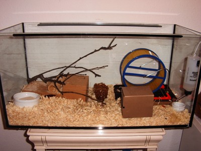 PICT0006.JPG