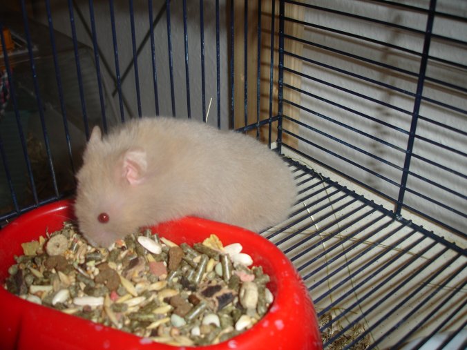 Dsc00005.jpg