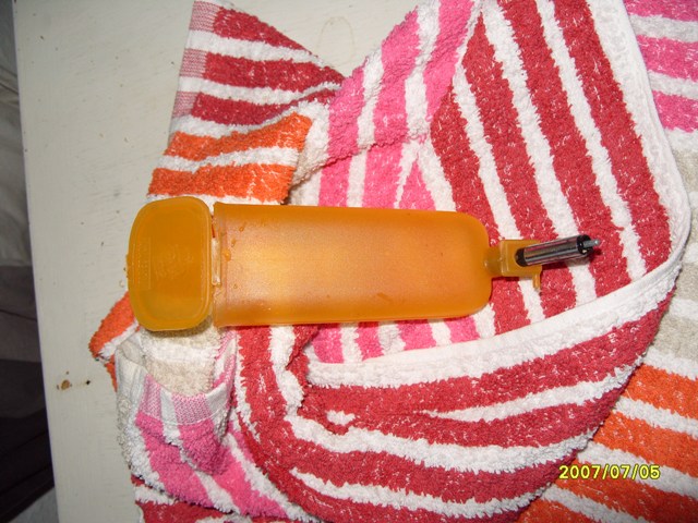 dyr 079.jpg