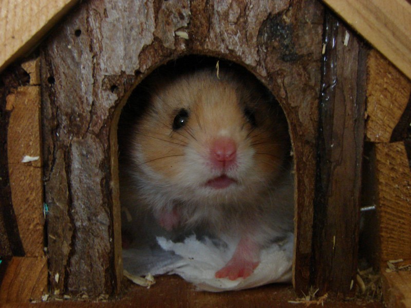 DSC05833.JPG