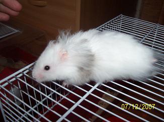 Buster%20L.jpg
