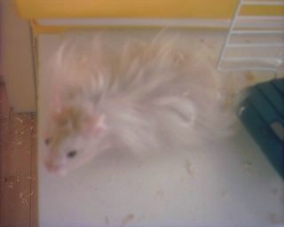 godmorgen Sigurd 2.jpg