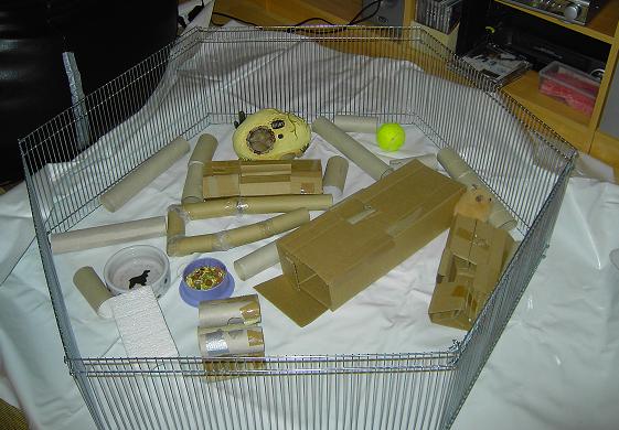PICT8167 2.jpg