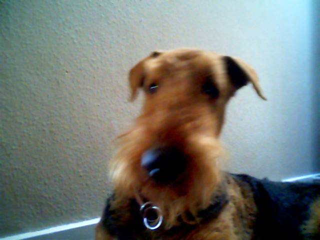 Picture 0205.jpg