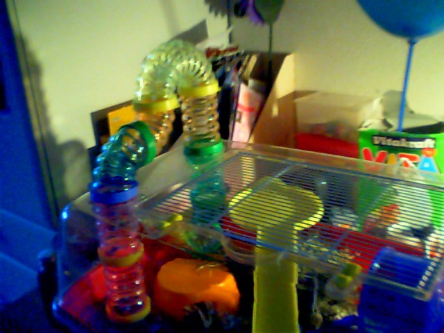 Picture 0243.jpg