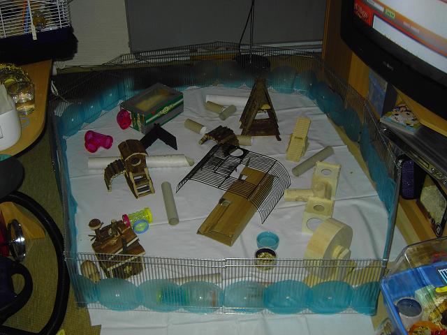PICT8849 2.jpg