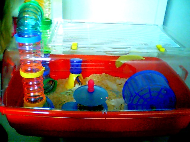 Picture 0286.jpg