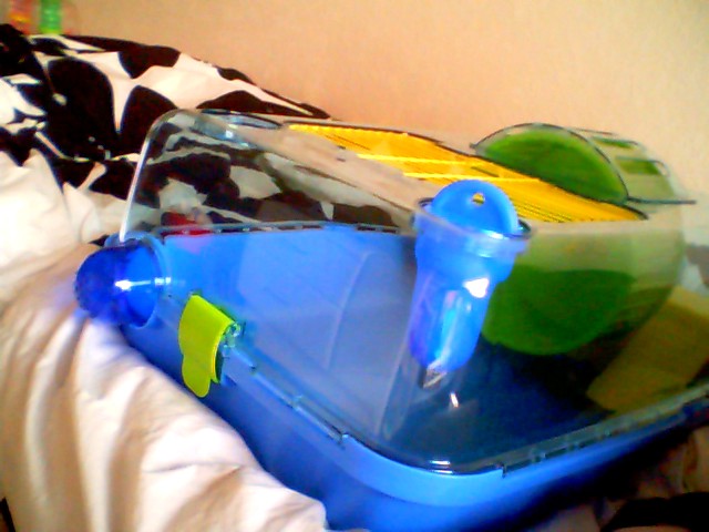 Picture 0309.jpg