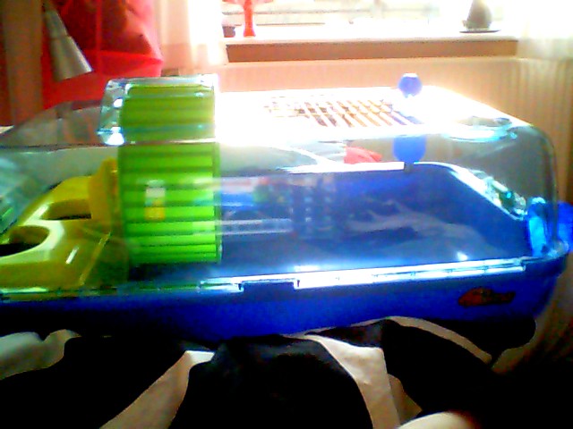 Picture 0307.jpg