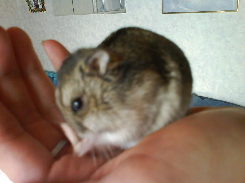 DSC00188.JPG