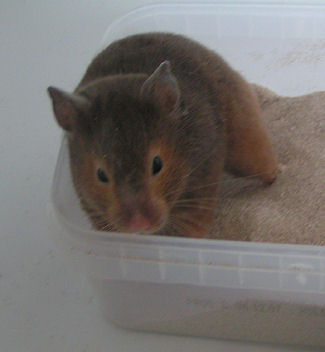 Jake Haley 29.04.08.jpg