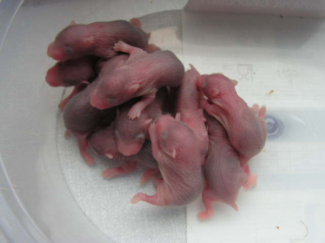 PICT0284.JPG
