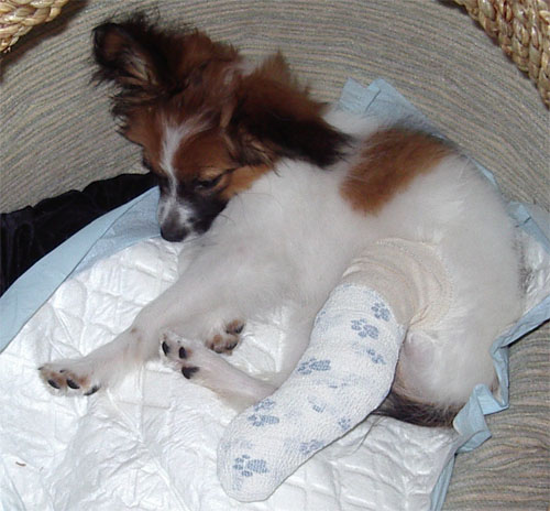 lille patient.jpg