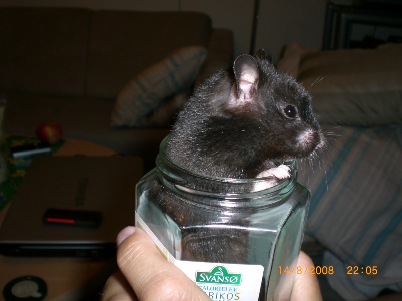 Vores Børn (11).JPG