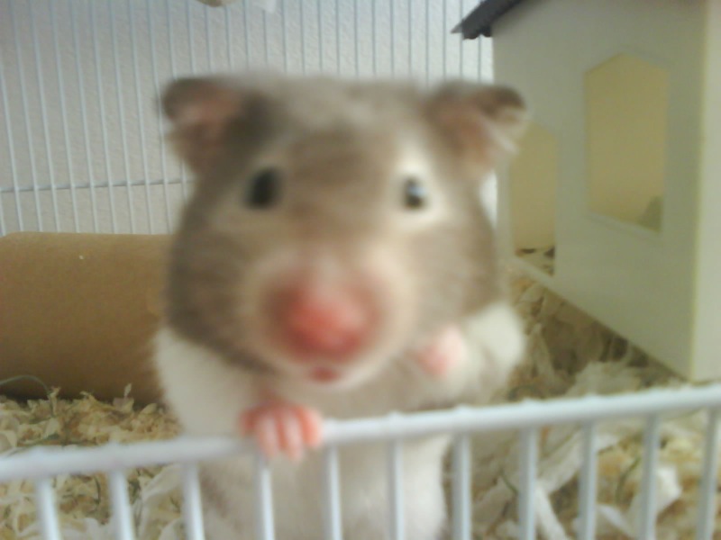 DSC00430.JPG