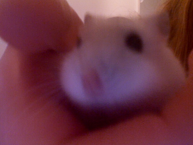 Foto 396.jpg