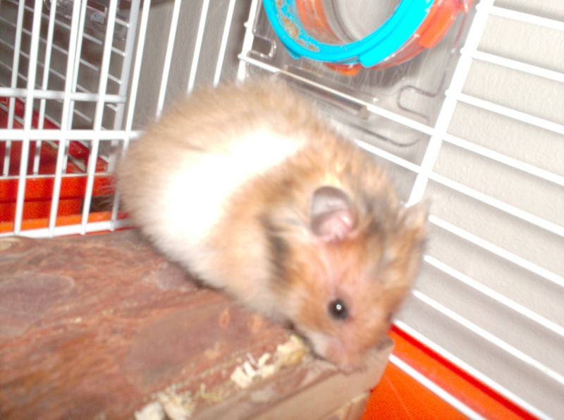 zuki4.JPG