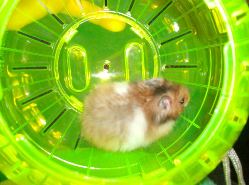 zuki3.JPG