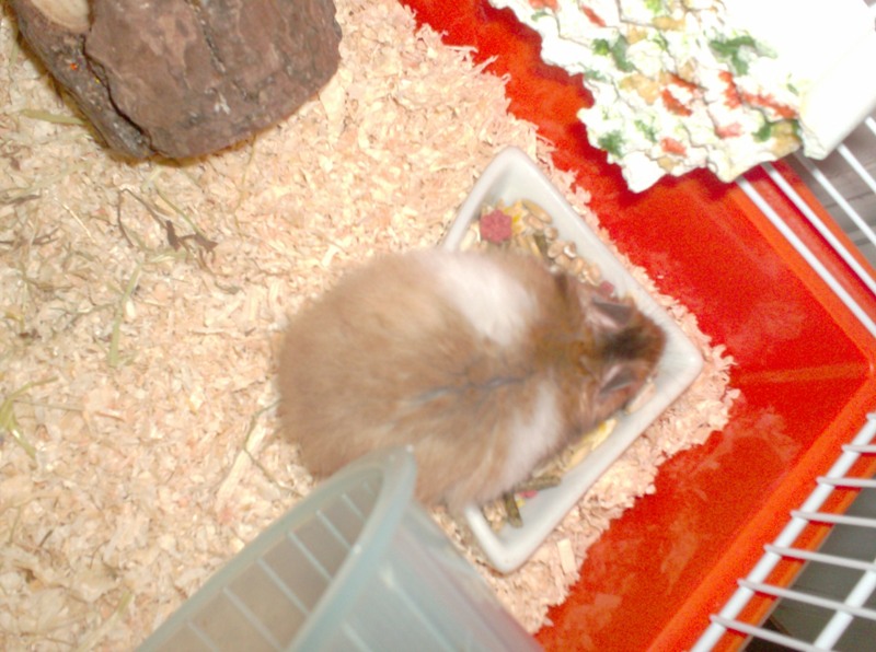 zuki2.JPG