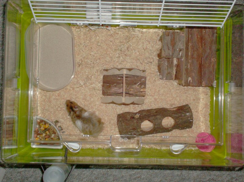 Årh der er mange nye ting.JPG