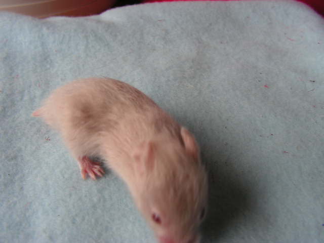 PICT0085.JPG